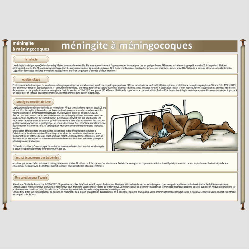 Méningites à méningocoques