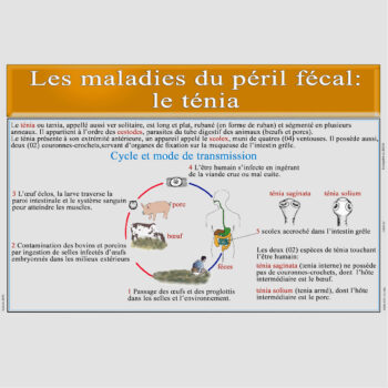 maladies du peril facal